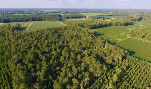 Photo of UNDER CONTRACT!  61.43 Acres of Farm and Timber Land For Sale in Wilson County NC!
