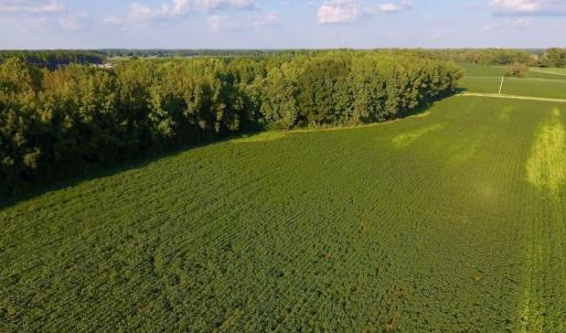 Photo of UNDER CONTRACT!  61.43 Acres of Farm and Timber Land For Sale in Wilson County NC!