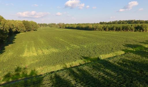 Photo of UNDER CONTRACT!  61.43 Acres of Farm and Timber Land For Sale in Wilson County NC!