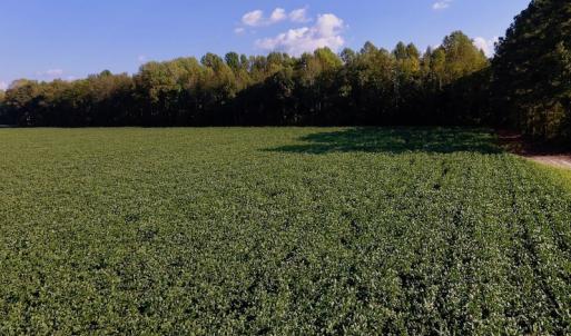 Photo of UNDER CONTRACT!  61.43 Acres of Farm and Timber Land For Sale in Wilson County NC!
