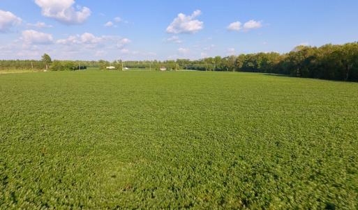 Photo of UNDER CONTRACT!  61.43 Acres of Farm and Timber Land For Sale in Wilson County NC!