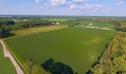 Photo of UNDER CONTRACT!  61.43 Acres of Farm and Timber Land For Sale in Wilson County NC!