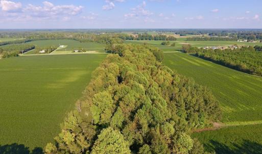 Photo of UNDER CONTRACT!  61.43 Acres of Farm and Timber Land For Sale in Wilson County NC!