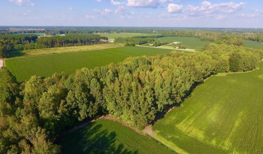 Photo of UNDER CONTRACT!  61.43 Acres of Farm and Timber Land For Sale in Wilson County NC!