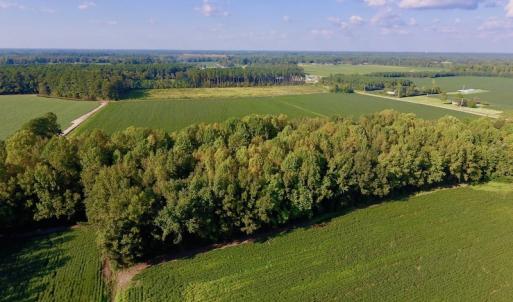 Photo of UNDER CONTRACT!  61.43 Acres of Farm and Timber Land For Sale in Wilson County NC!