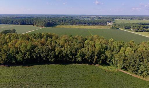 Photo of UNDER CONTRACT!  61.43 Acres of Farm and Timber Land For Sale in Wilson County NC!