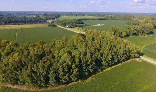 Photo of UNDER CONTRACT!  61.43 Acres of Farm and Timber Land For Sale in Wilson County NC!