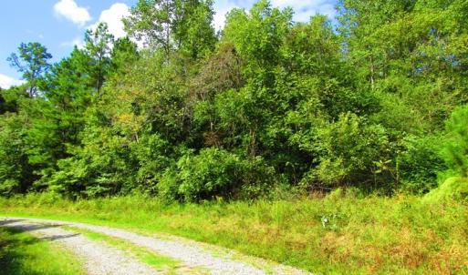 Photo of UNDER CONTRACT!  10.08 Acres of Hunting Land For Sale in Warren County NC!