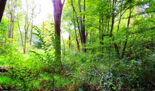 Photo of UNDER CONTRACT!  10.08 Acres of Hunting Land For Sale in Warren County NC!