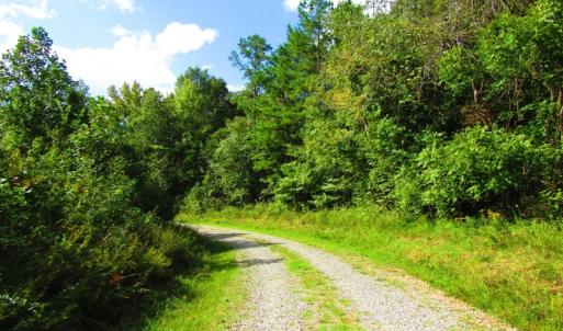 Photo of UNDER CONTRACT!  10.08 Acres of Hunting Land For Sale in Warren County NC!