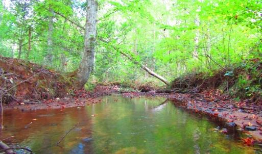 Photo of UNDER CONTRACT!  10.08 Acres of Hunting Land For Sale in Warren County NC!