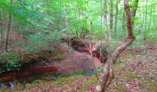 Photo of UNDER CONTRACT!  10.08 Acres of Hunting Land For Sale in Warren County NC!