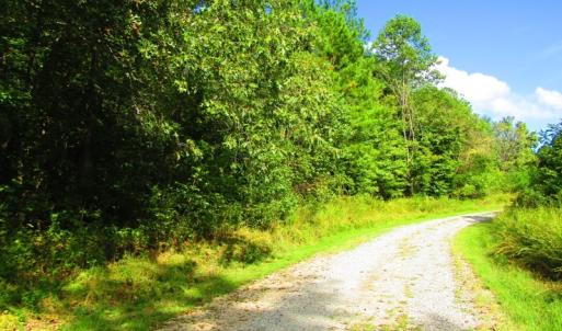 Photo of UNDER CONTRACT!  10.08 Acres of Hunting Land For Sale in Warren County NC!