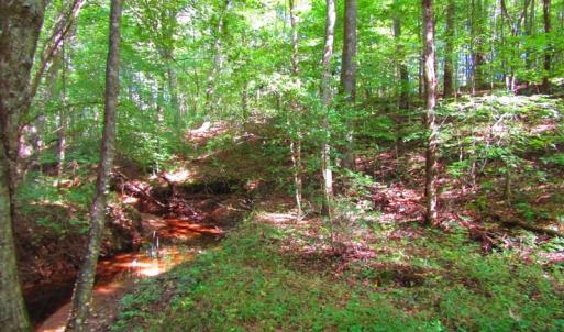 Photo of UNDER CONTRACT!  10.08 Acres of Hunting Land For Sale in Warren County NC!