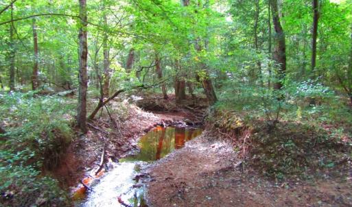 Photo of UNDER CONTRACT!  10.08 Acres of Hunting Land For Sale in Warren County NC!