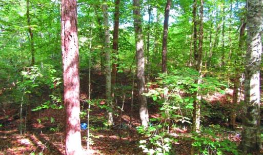 Photo of UNDER CONTRACT!  10.08 Acres of Hunting Land For Sale in Warren County NC!