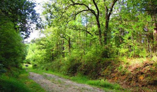 Photo of UNDER CONTRACT!  10.08 Acres of Hunting Land For Sale in Warren County NC!
