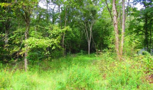 Photo of UNDER CONTRACT!  10.08 Acres of Hunting Land For Sale in Warren County NC!