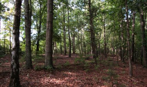 Photo of UNDER CONTRACT!  16 Acres of Hunting and Recreational Land For Sale in Warren County NC!