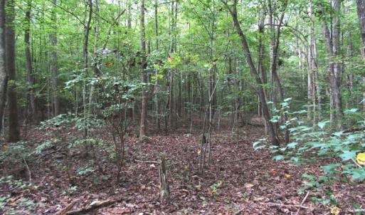 Photo of UNDER CONTRACT!  16 Acres of Hunting and Recreational Land For Sale in Warren County NC!