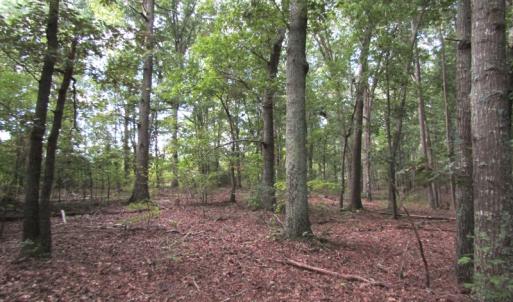 Photo of UNDER CONTRACT!  16 Acres of Hunting and Recreational Land For Sale in Warren County NC!