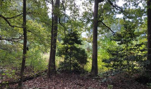 Photo of UNDER CONTRACT!  16 Acres of Hunting and Recreational Land For Sale in Warren County NC!