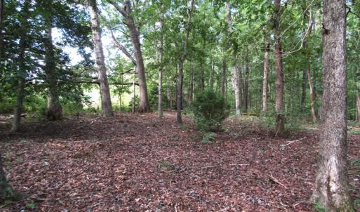 Photo of UNDER CONTRACT!  16 Acres of Hunting and Recreational Land For Sale in Warren County NC!