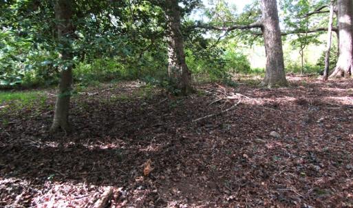 Photo of UNDER CONTRACT!  16 Acres of Hunting and Recreational Land For Sale in Warren County NC!