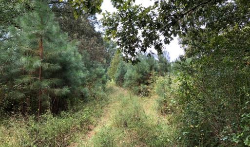 Photo of UNDER CONTRACT!  16 Acres of Hunting and Recreational Land For Sale in Warren County NC!