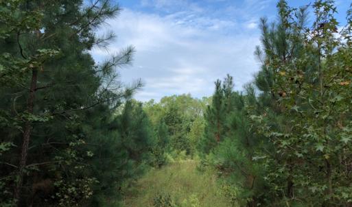 Photo of UNDER CONTRACT!  16 Acres of Hunting and Recreational Land For Sale in Warren County NC!