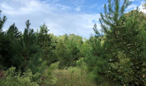 Photo of UNDER CONTRACT!  16 Acres of Hunting and Recreational Land For Sale in Warren County NC!