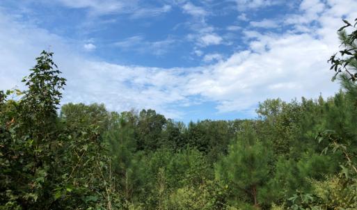 Photo of UNDER CONTRACT!  16 Acres of Hunting and Recreational Land For Sale in Warren County NC!