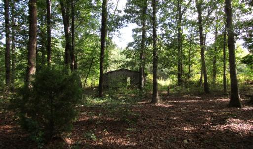 Photo of UNDER CONTRACT!  16 Acres of Hunting and Recreational Land For Sale in Warren County NC!