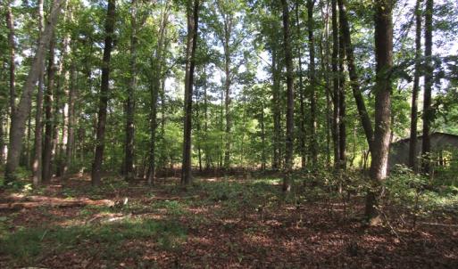 Photo of UNDER CONTRACT!  16 Acres of Hunting and Recreational Land For Sale in Warren County NC!
