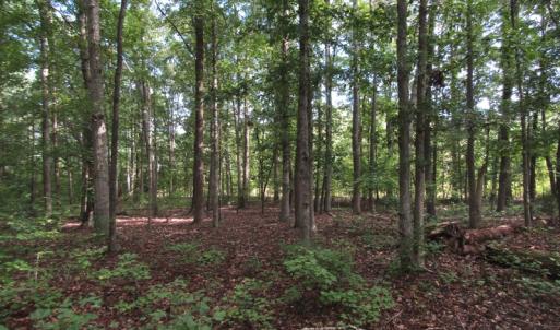 Photo of UNDER CONTRACT!  16 Acres of Hunting and Recreational Land For Sale in Warren County NC!