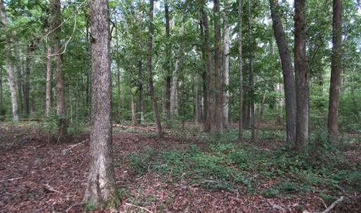 Photo of UNDER CONTRACT!  16 Acres of Hunting and Recreational Land For Sale in Warren County NC!