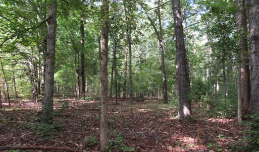 Photo of UNDER CONTRACT!  16 Acres of Hunting and Recreational Land For Sale in Warren County NC!
