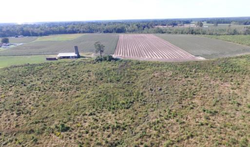 Photo of UNDER CONTRACT!  118 Acres of Farm and Timber Land For Sale in Suffolk VA!