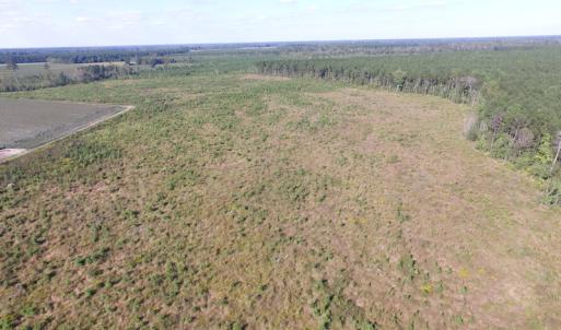 Photo of UNDER CONTRACT!  118 Acres of Farm and Timber Land For Sale in Suffolk VA!