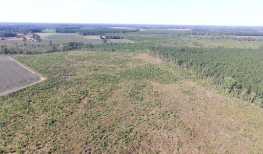 Photo of UNDER CONTRACT!  118 Acres of Farm and Timber Land For Sale in Suffolk VA!