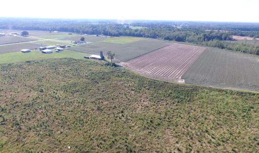 Photo of UNDER CONTRACT!  118 Acres of Farm and Timber Land For Sale in Suffolk VA!