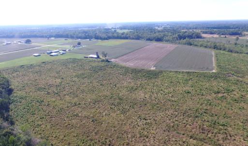 Photo of UNDER CONTRACT!  118 Acres of Farm and Timber Land For Sale in Suffolk VA!