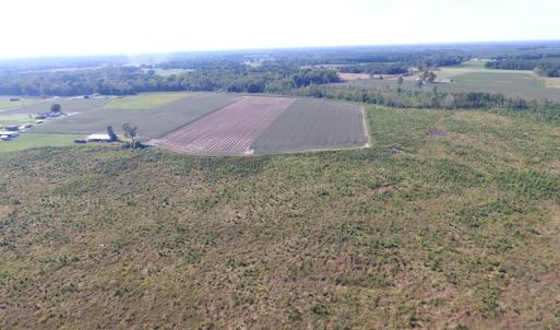 Photo of UNDER CONTRACT!  118 Acres of Farm and Timber Land For Sale in Suffolk VA!