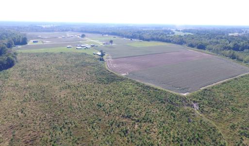 Photo of UNDER CONTRACT!  118 Acres of Farm and Timber Land For Sale in Suffolk VA!
