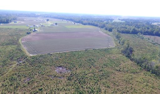 Photo of UNDER CONTRACT!  118 Acres of Farm and Timber Land For Sale in Suffolk VA!