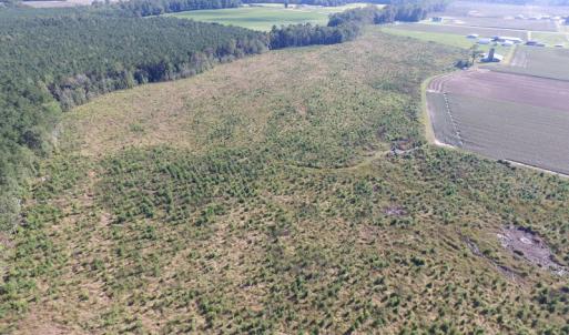 Photo of UNDER CONTRACT!  118 Acres of Farm and Timber Land For Sale in Suffolk VA!