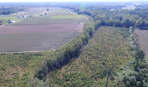 Photo of UNDER CONTRACT!  118 Acres of Farm and Timber Land For Sale in Suffolk VA!