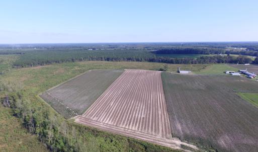 Photo of UNDER CONTRACT!  118 Acres of Farm and Timber Land For Sale in Suffolk VA!