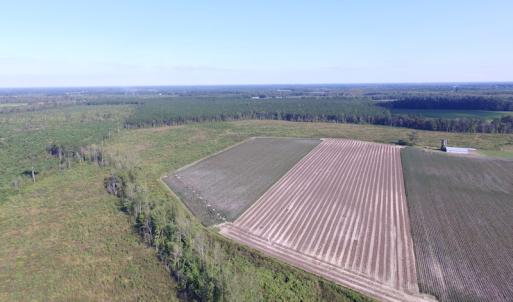 Photo of UNDER CONTRACT!  118 Acres of Farm and Timber Land For Sale in Suffolk VA!