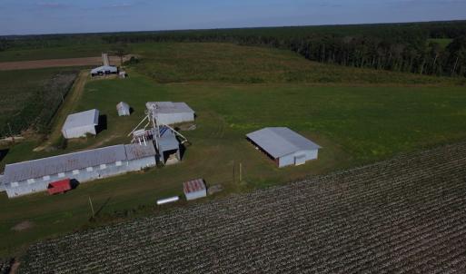Photo of UNDER CONTRACT!  118 Acres of Farm and Timber Land For Sale in Suffolk VA!